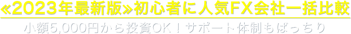 ≪2021年最新版≫初心者に人気FX会社一括比較
小額5,000円から投資OK！サポート体制もばっちり